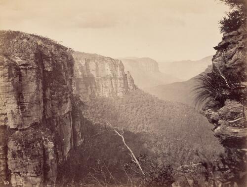 Grand view of Govets Leap Gorge [N.S.W., 1878] [picture] / Brodie, Sydney