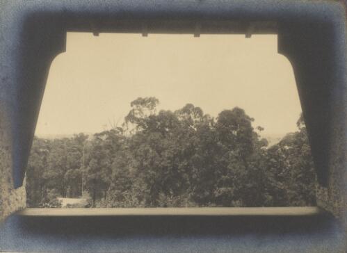 Garden view from verandah of a California bungalow, Australia [picture] / H. Cazneaux