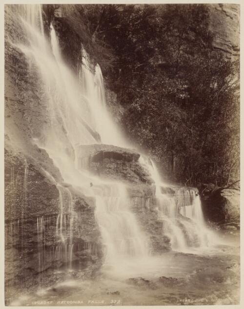 The Cascades, Katoomba Falls, New South Wales [picture] / Kerry & Co