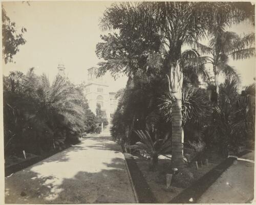 [Garden Palace, Sydney International Exhibition Building, seen from] Botanic Gardens [picture] / C. Bayliss; John Paine