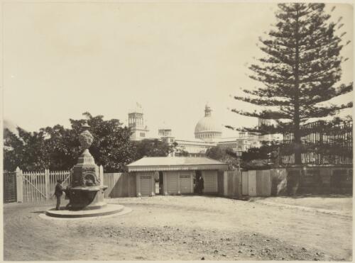 [Garden Palace, Sydney International Exhibition Building, seen] from the Domain [picture] / C. Bayliss; John Paine