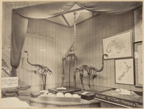 The International Exhibition 1879-1880 illustrated by original photographs [picture] / edited by John Plummer ; Richards & Co