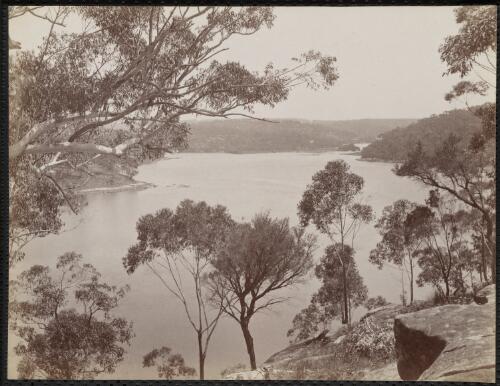 Middle Harbour, Sydney, New South Wales [picture] / Charles Bayliss