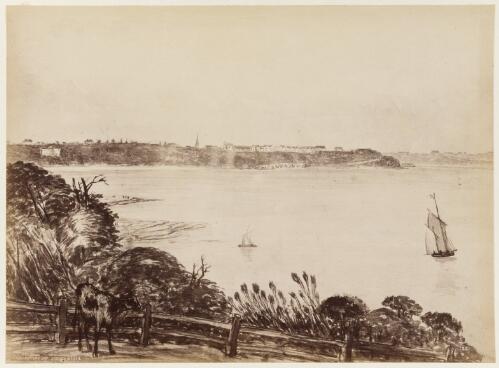 Rushcutters Bay, Sydney, 1842 [picture] / John Rae