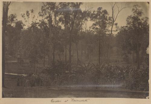 Garden at Rainworth, Brisbane, Queensland, ca. 1890 [picture]