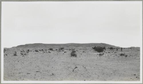 Sand country, Levi Ranges, Bagot, Pituri, Northern Territory, 1947 [picture] / Arthur Groom