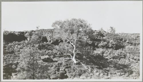 Kings Creek Canyon, Northern Territory, 1947, 6 [picture] / Arthur Groom