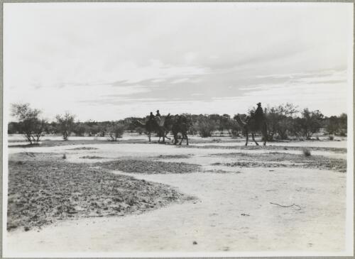 To Angas Downs, Northern Territory, 1947, 4 [picture] / Arthur Groom