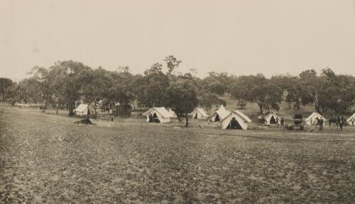 Federal Capital site survey camp, Camp Hill, Canberra, Australian Capital Territory, ca. 1909 [picture] / Lands and Surveys Branch