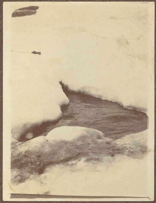 [Seal hole, 1907-1909] [picture]