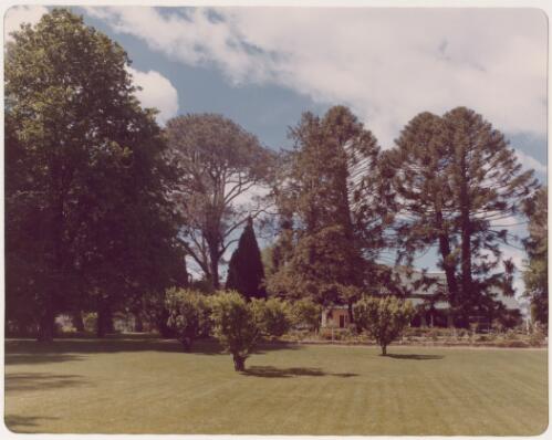 The gardens surrounding the house at Lanyon Homestead, Tharwa, Australian Capital Territory, 1976 [picture]