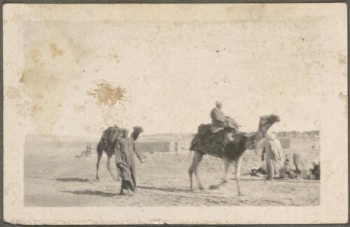 Egyptians and two camels in the desert, Egypt, approximately 1916 / Noel Minchin
