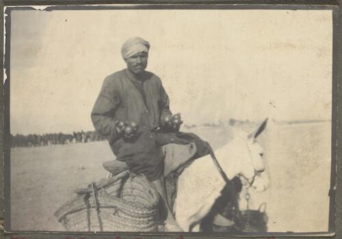 An Egyptian riding a donkey selling oranges, Egypt, approximately 1916 / Noel Minchin