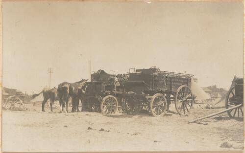 Horses and military wagons, Cleopatra, Alexandria, Egypt, 1915