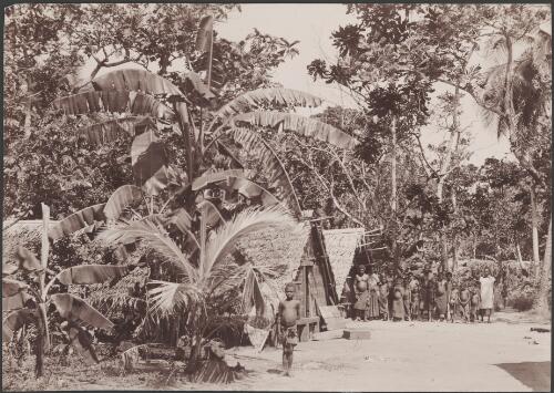 Villagers gathered in front of two houses in the village of Ara, Banks Islands, 1906 / J.W. Beattie