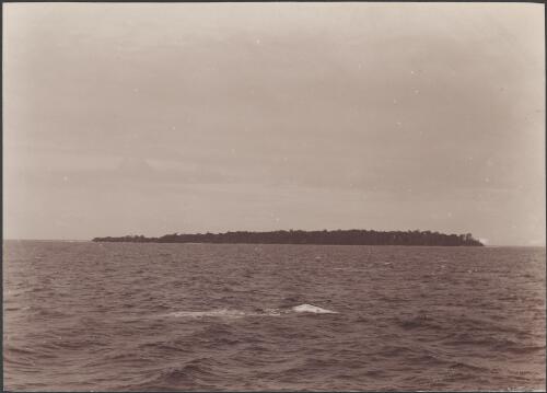 The island of Mendoliana, viewed from the north-east, Solomon Islands, 1906 / J.W. Beattie