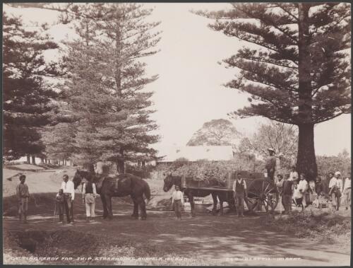 Norfolk Island villagers with luggage for the Southern Cross on horses and carts, 1906 / J.W. Beattie