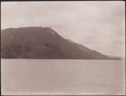 The coast of Pentecost Island at Lamalan̈a, New Hebrides, 1906 / J.W. Beattie