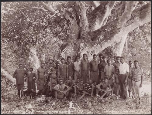 Men and boys of Lakona, Santa Maria, Banks Islands, 1906 / J.W. Beattie