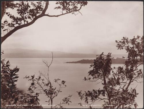 Graciosa Bay viewed from Te Motu, Santa Cruz Islands, 1906 / J.W. Beattie