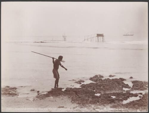 A man spear fishing on the coast of Heuru, with fishing stands and Southern Cross in background, Solomon Islands, 1906 / J.W. Beattie