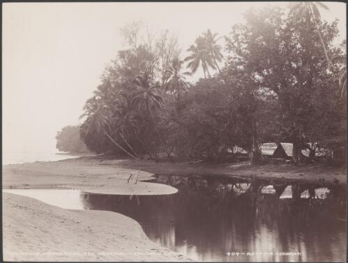 The entrance of Wango River near the village of Wango, Solomon Islands, 1906 / J.W. Beattie