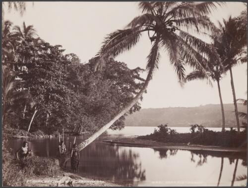 A man and two women on the banks of Roas Bay, Malaita, Solomon Islands, 1906 / J.W. Beattie