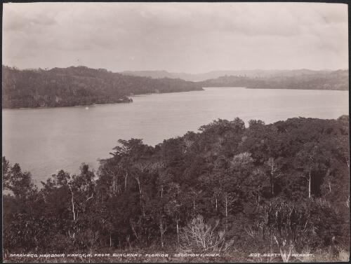Baranago Harbour, viewed fron Bungana, Florida, Solomon Islands, 1906 / J.W. Beattie