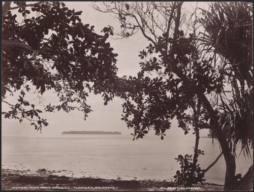 The island of Mendoliana, viewed from Honggo, Solomon Islands, 1906 / J.W. Beattie