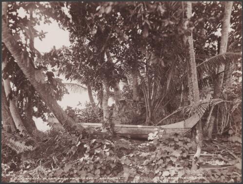Sacrificial alter at Pago Pago, Savo, Solomon Islands, 1906 / J.W. Beattie