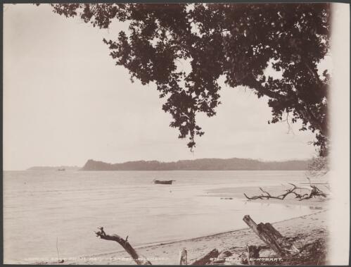 Ysabel Island, looking east from Regi, Solomon Islands, 1906 / J.W. Beattie