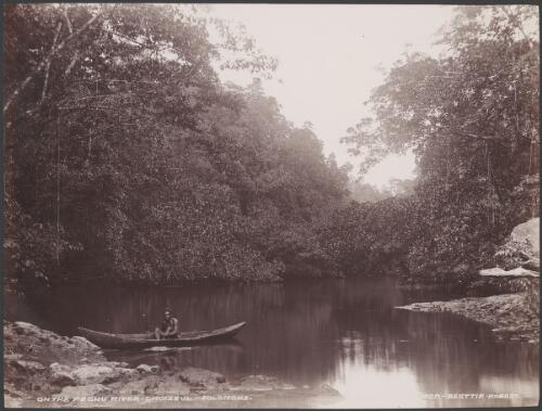 A man in a canoe on the Pachu River, Choiseul, Solomon Islands, 1906 / J.W. Beattie