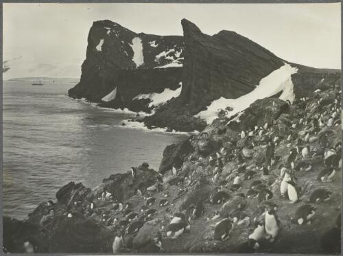 B.A.N.Z. Antarctic Research Expedition photographs [picture] / Frank Hurley