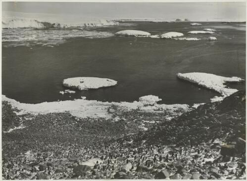 Proclamation Harbour with the coastal ice-slopes of Enderby Land in the background, ca. 1930 [picture] / Frank Hurley