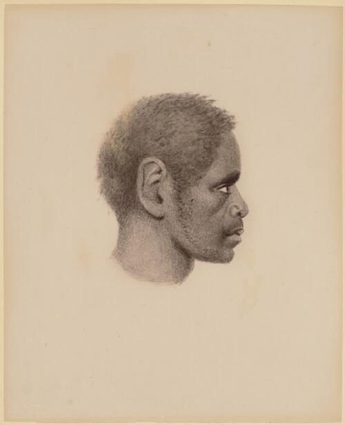 Aborigines of Tasmania [picture] / J.W. Beattie