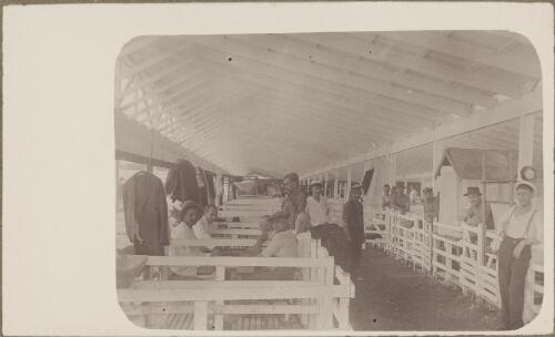 Internees inside a shed converted for accomodation, Holsworthy internment camp, New South Wales, ca.1917 [picture]