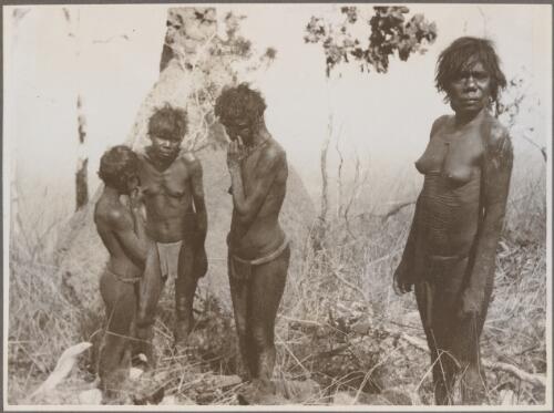 Aborigine woman of the Worora tribe, Collier Bay [picture]
