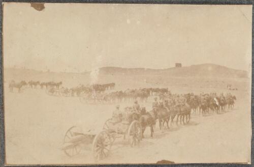 A.I.F. artillery at Mena Camp, Giza, Egypt, 1915 / David Izatt