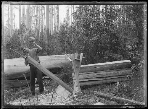 Man splitting timber in Beech Forest, Victoria, approximately 1905 / John Flynn