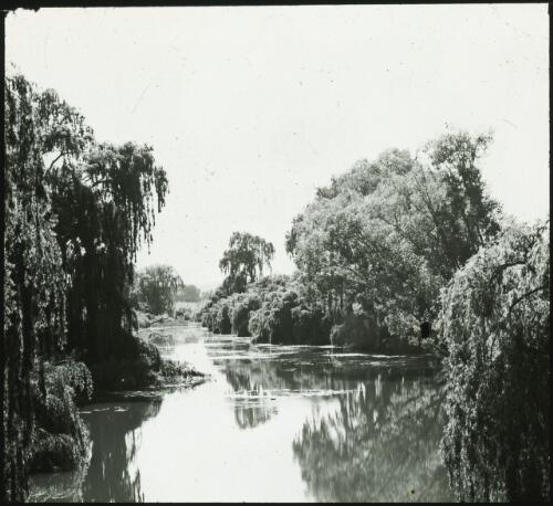 Molonglo River, Acton, 1920 [picture] / W.J. Mildenhall