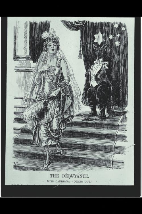 London cartoon - The Debutante, Miss Canberra "comes out" [picture] / W.J. Mildenhall