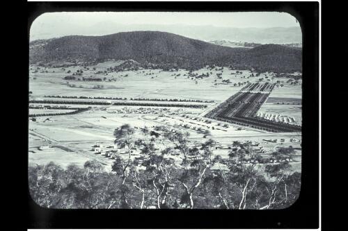 Ainslie, Braddon, Haig Park and tent camp [picture] / W.J. Mildenhall
