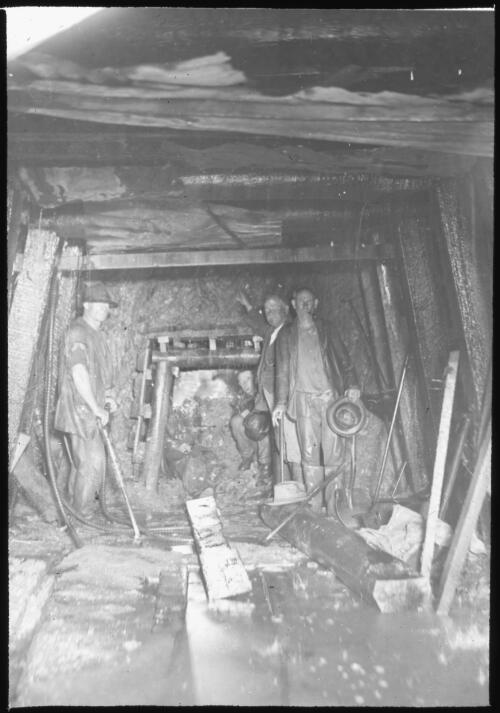 Miners [picture] / W.J. Mildenhall