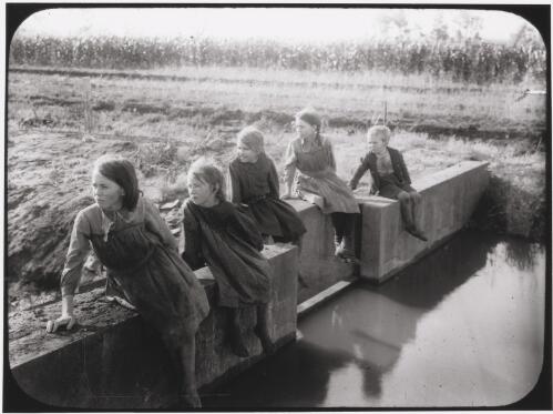 Children sitting on irrigation weir with sugar? crop in background [picture] / W.J. Mildenhall