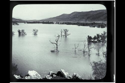 View of Burrinjuck Dam from Cave Island [picture] / W.J. Mildenhall