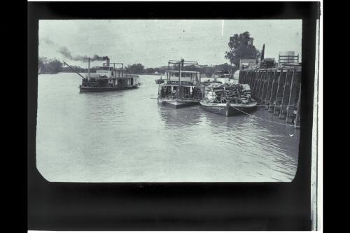 Steamers and barges at wharf, River Murray? [picture] / W.J. Mildenhall