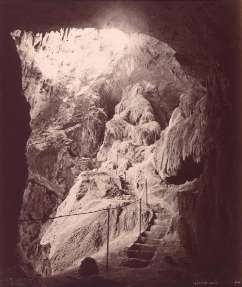 Nettle Cave [Jenolan Caves, N.S.W.] [picture] / C. Bayliss