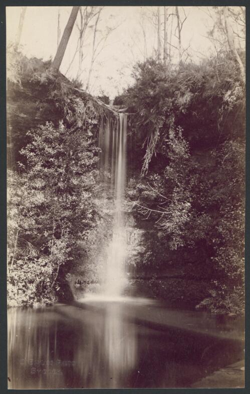 Fairy Dell at Mount Victoria, New South Wales, ca. 1888 [picture] / C. Bayliss