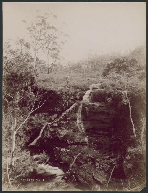 Nellies Falls, New South Wales, [1] [picture] / C. Bayliss