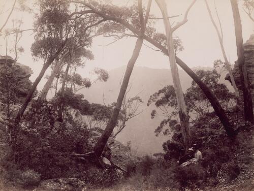 Couple seated on Mount Victoria, and Blue Mountains in background, New South Wales, ca. 1888 [picture] / C. Bayliss